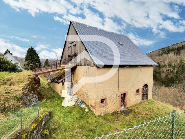 Maison Orbey 6 pièce s 250 m2