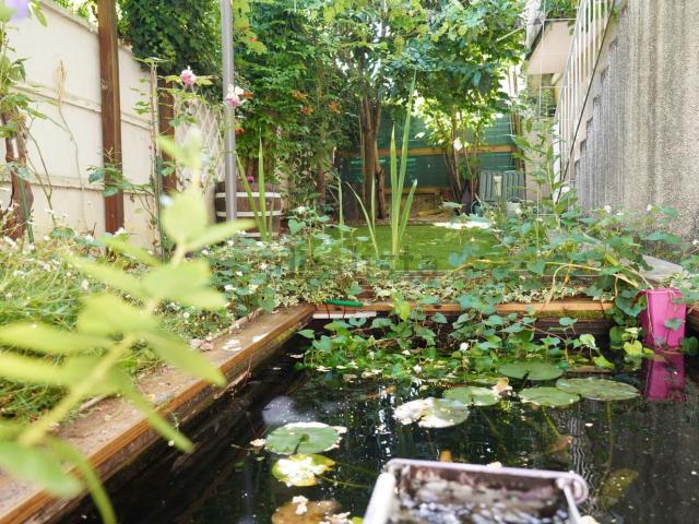 Maison, L&apos Isle Jourdain