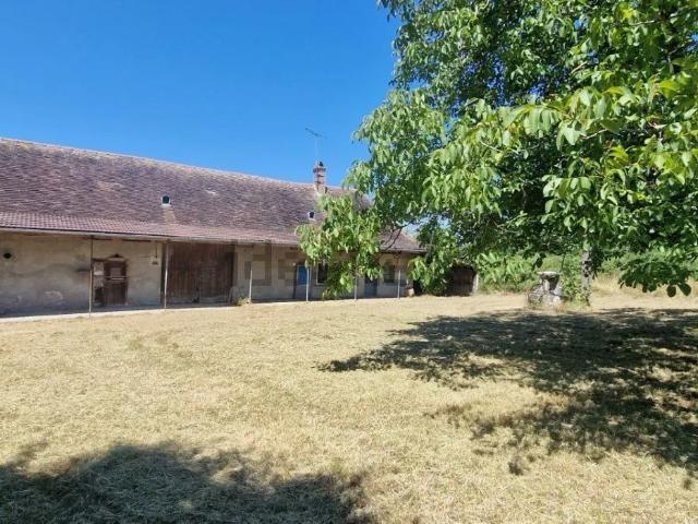 Maison, Louhans