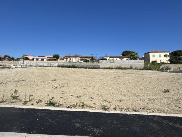 Maison, Loupian