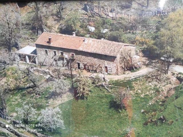 Maison, La Souche