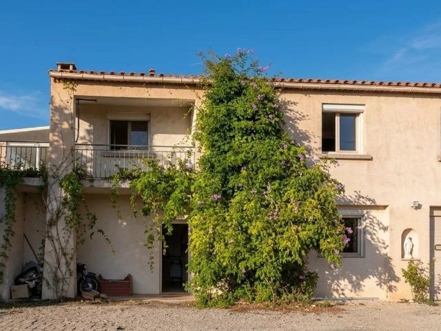 Maison, La Palme
