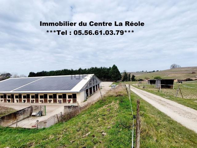 Maison, La Réole
