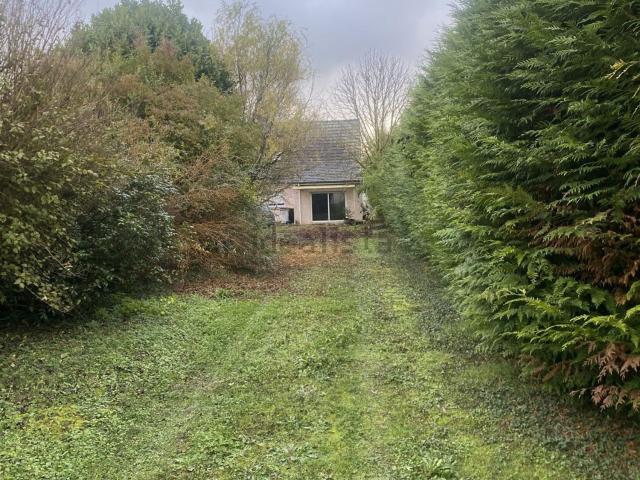 Maison, La Veuve