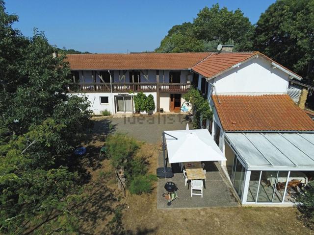Maison, Laas