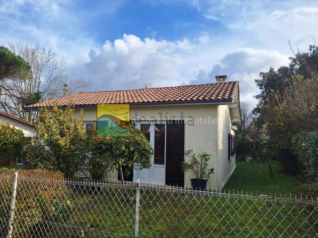 Maison, Lacanau