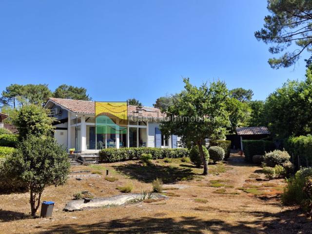 Maison, Lacanau
