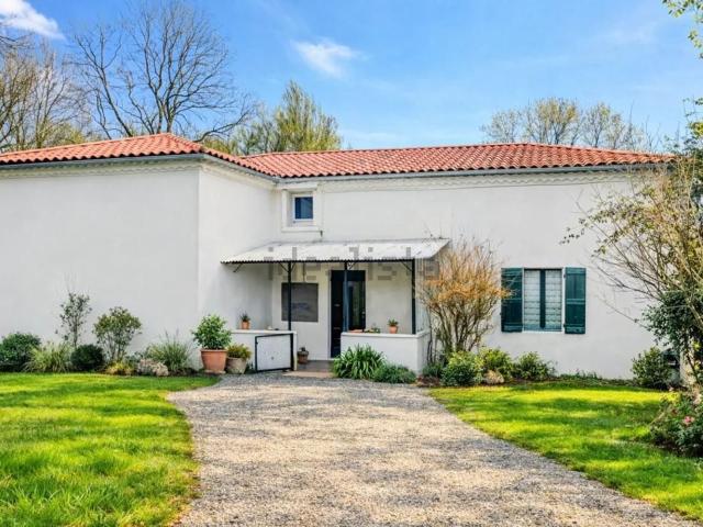Maison, Lacour