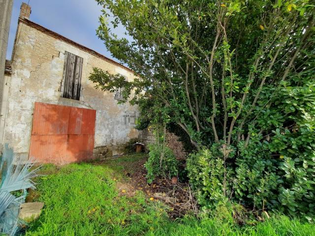 Maison, Lamothe Landerron