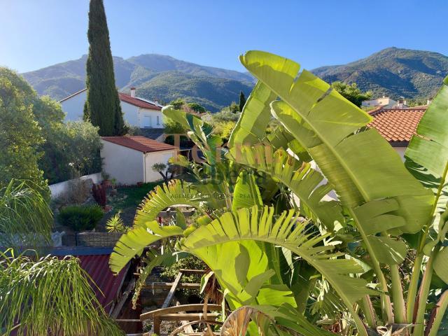 Maison, Laroque des Albères