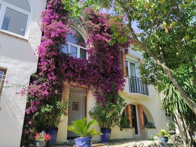 Maison, Le Cannet