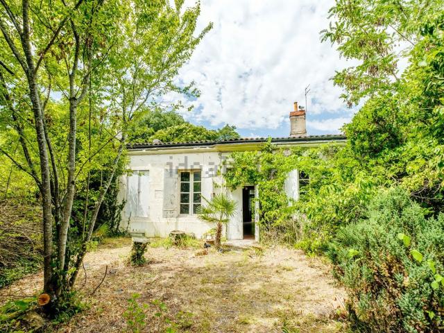 Maison, Le Bouscat