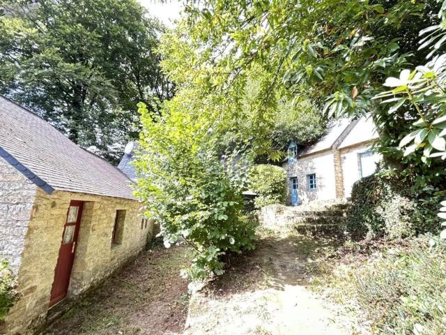 Maison, Lizio