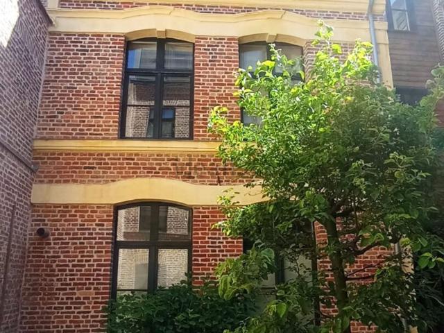 Maison, Lille