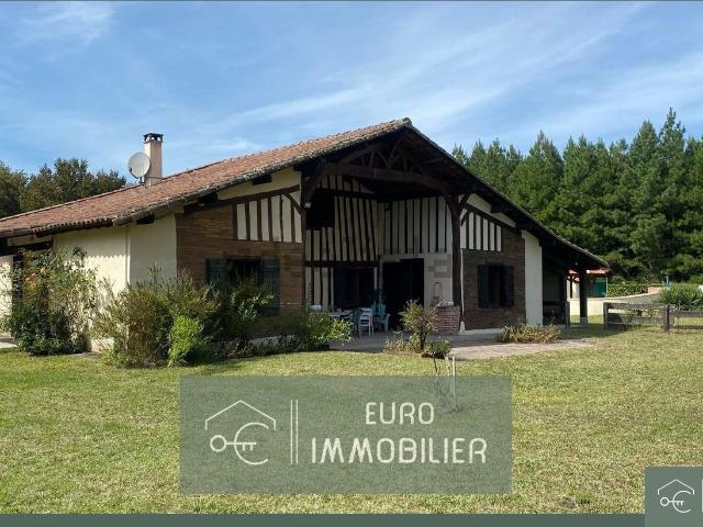 Maison, Luxey