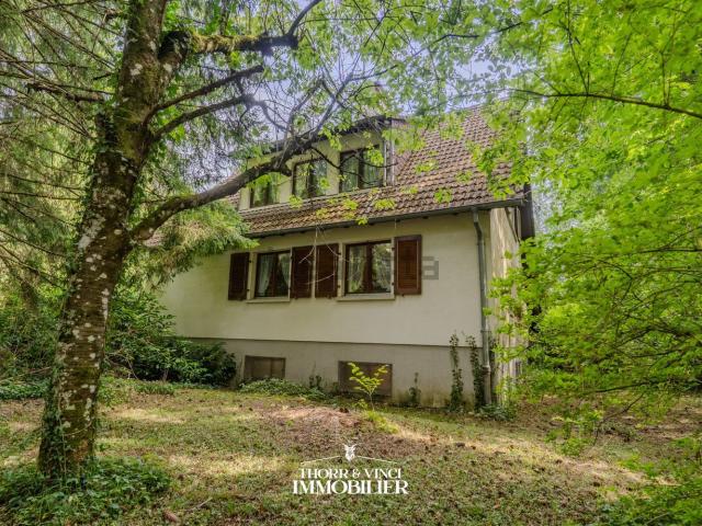 Maison, Lucelle