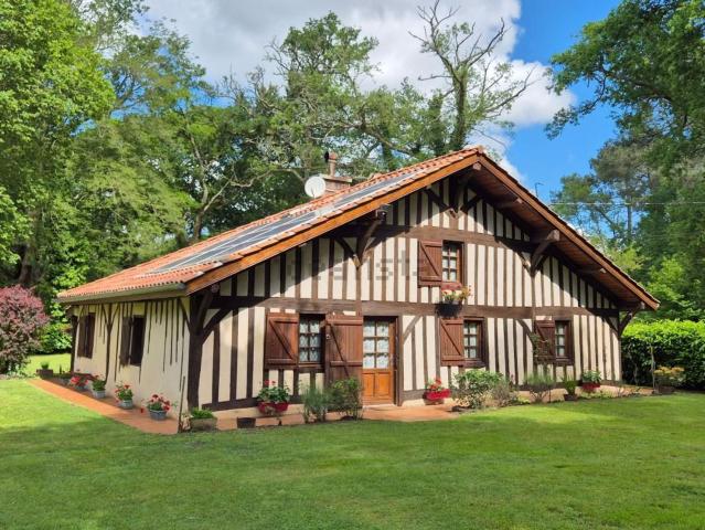 Maison, Luglon