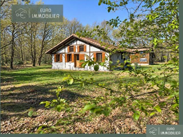 Maison, Luglon