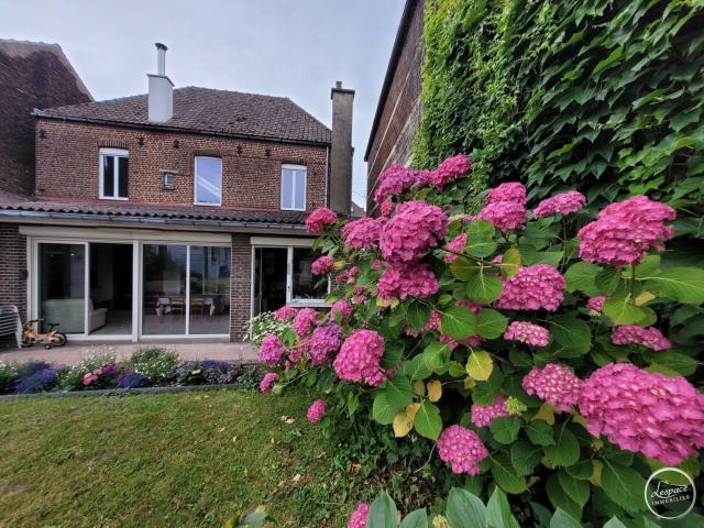 Maison, Lumbres