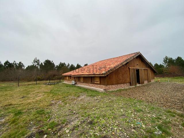 Maison, Moustey