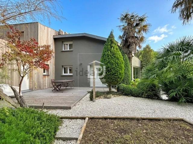 Maison, Mons
