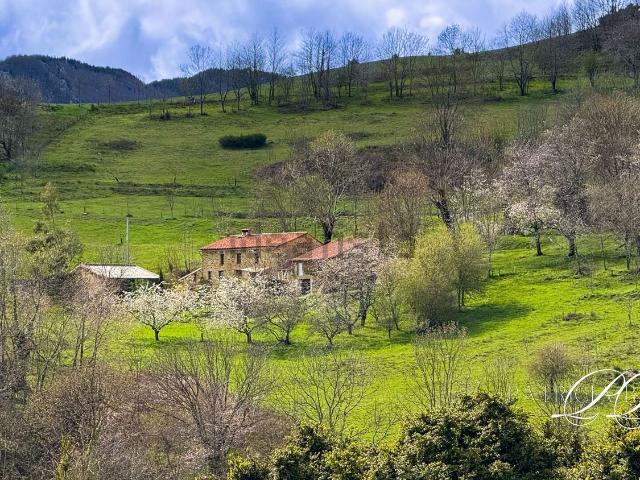 Maison, Montferrer