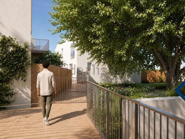 Maison, Montpellier