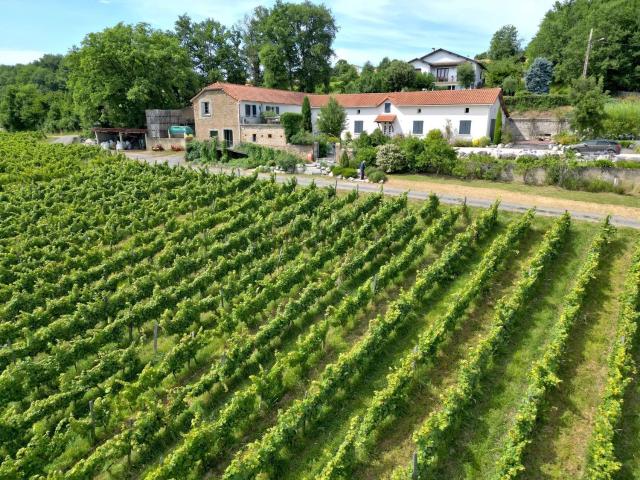 Maison, Madiran