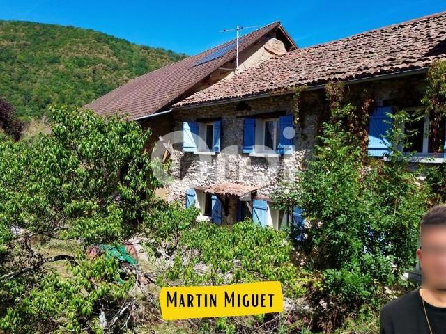 Maison, Massieu