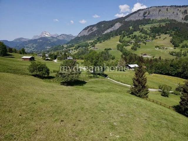 Maison meublée à acheter sur Praz Sur Arly Haute Savoie