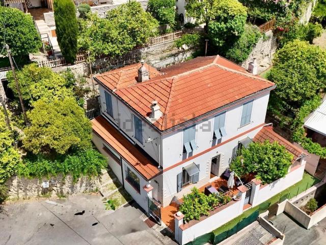 Maison, Menton
