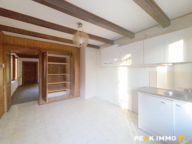 Maison mitoyenne de 46.06m2 avec jardin à rénover Peillonnex 74250