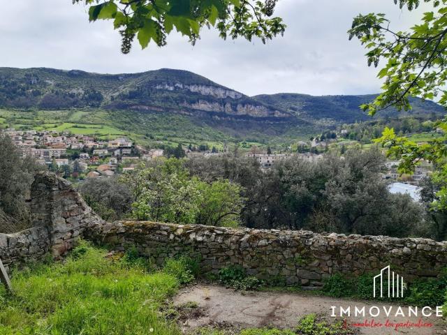 Maison, Millau