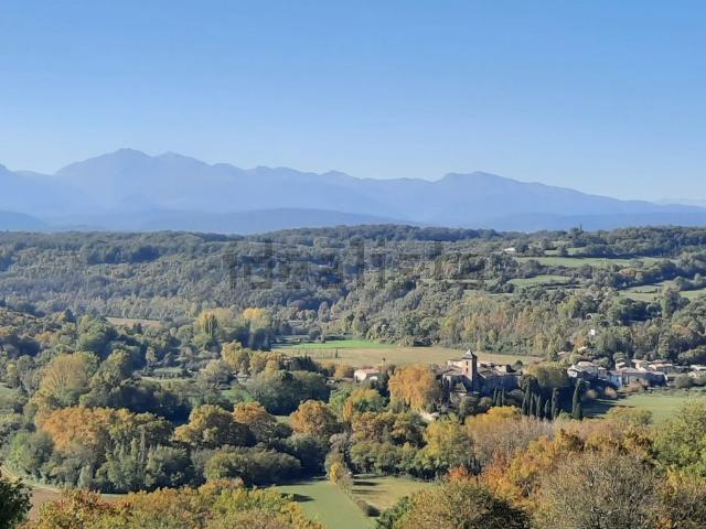 Maison, Mirepoix