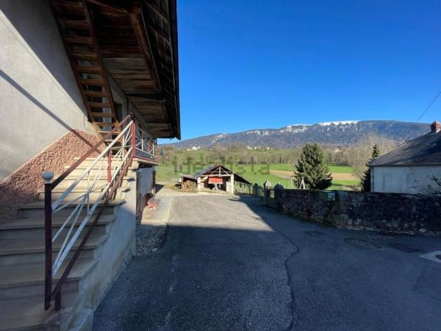 Maison, Mûres