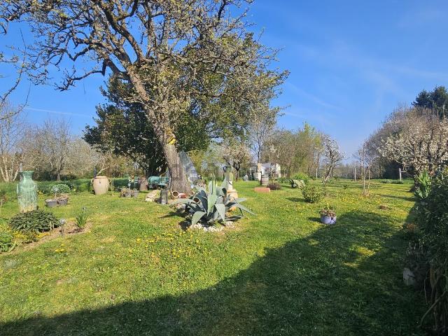 Maison, Nouic