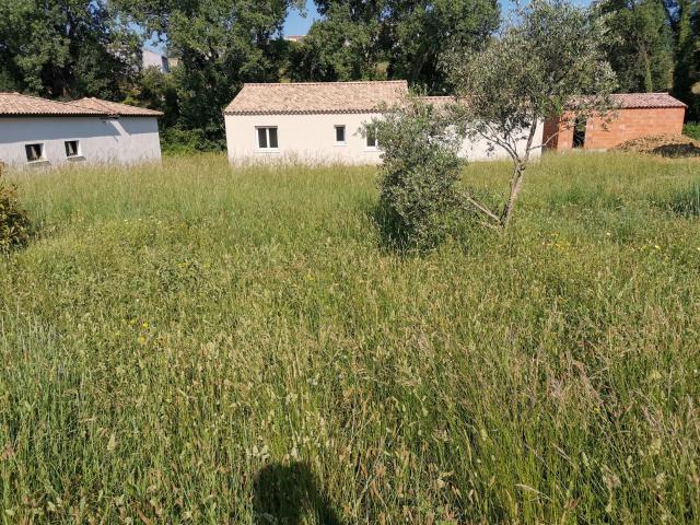 Maison neuve 32 pièces 1,17 hectare
