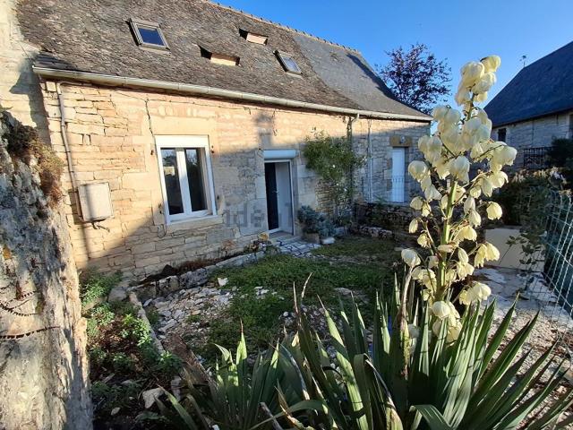 Maison, Nespouls