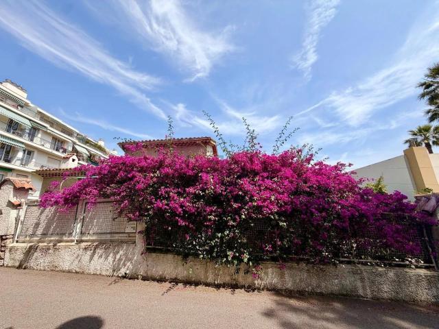 Maison, Nice