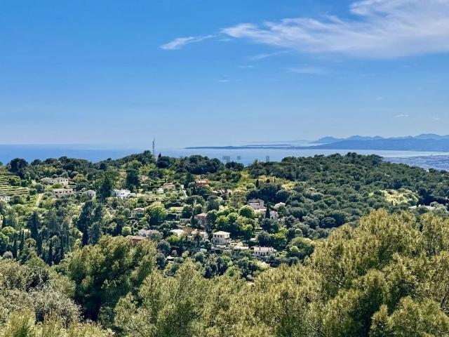 Maison, Nice