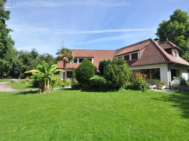 Maison, Souchez