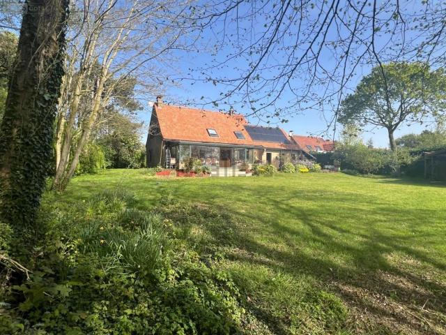 Maison, Socx