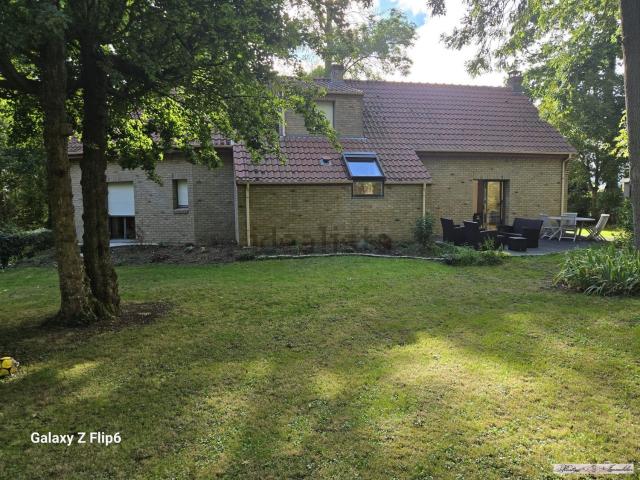 Maison, Socx