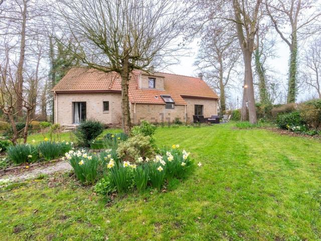 Maison, Socx