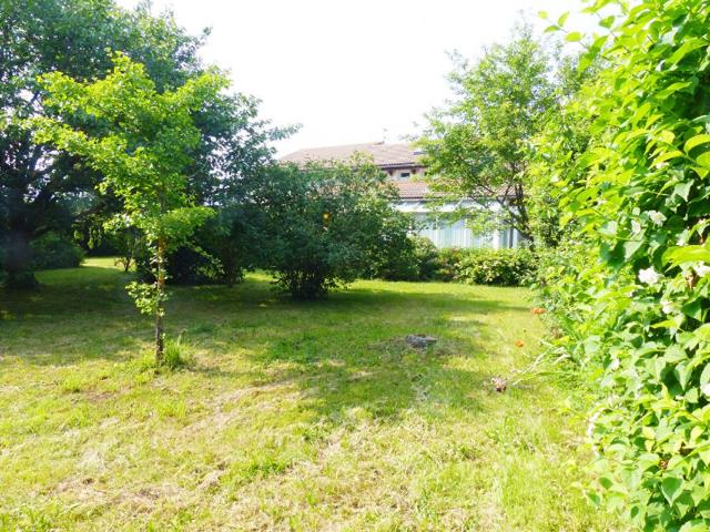 Maison Solignac Sur Loire 5 pièce s 195 m2