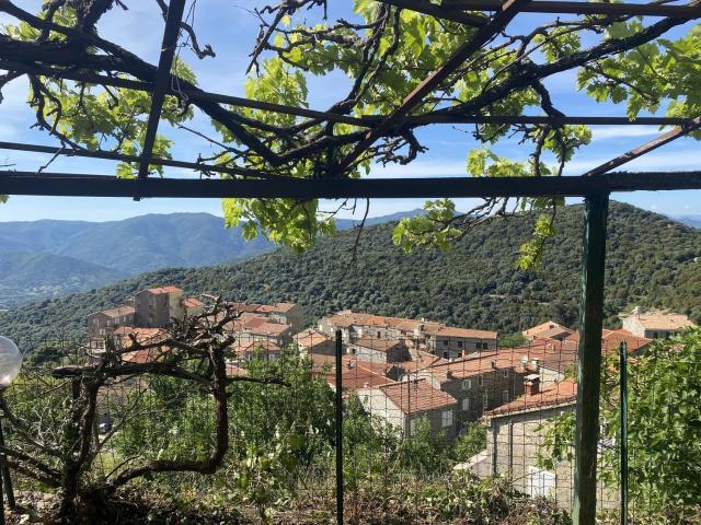 Maison, Sollacaro