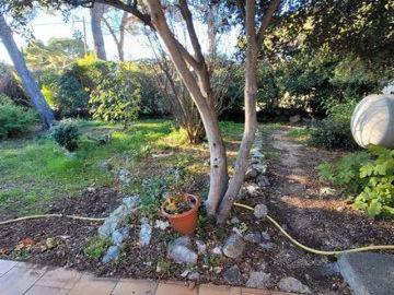 Maison à louer à Bouches-du-Rhône - Jardin