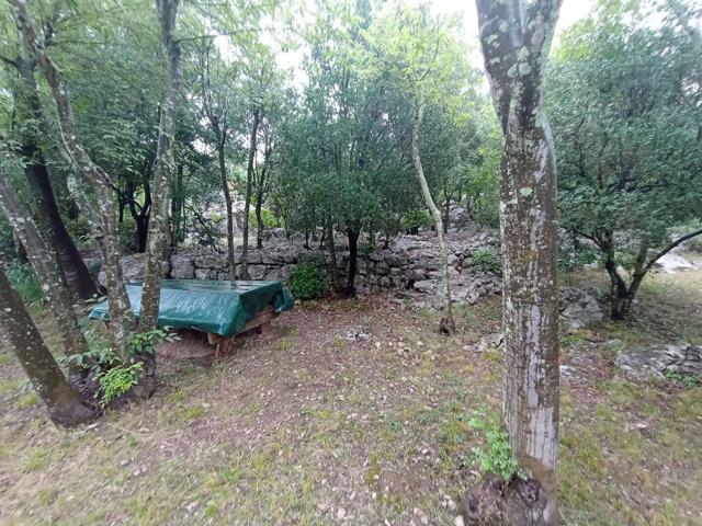 Maison, Sauve