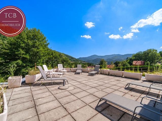 Maison Saint Amarin 17 pièce s 470 m2