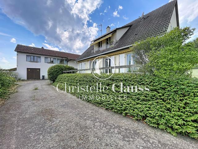 Maison Saint Hippolyte 217 m2
